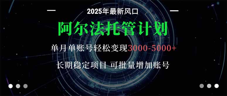 阿尔法托管计划 单账号月入3000-5000,长期稳定项目,新手小白轻松上手。-开心