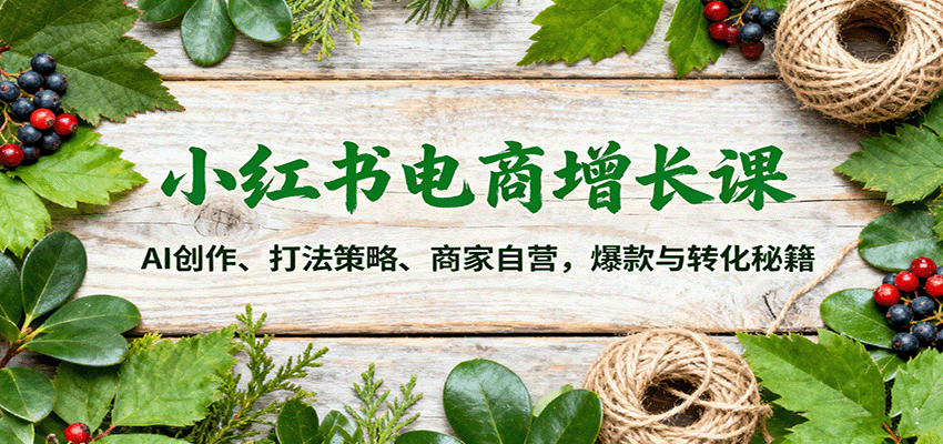 小红书电商增长课:AI创作、打法策略、商家自营,爆款与转化秘籍-开心